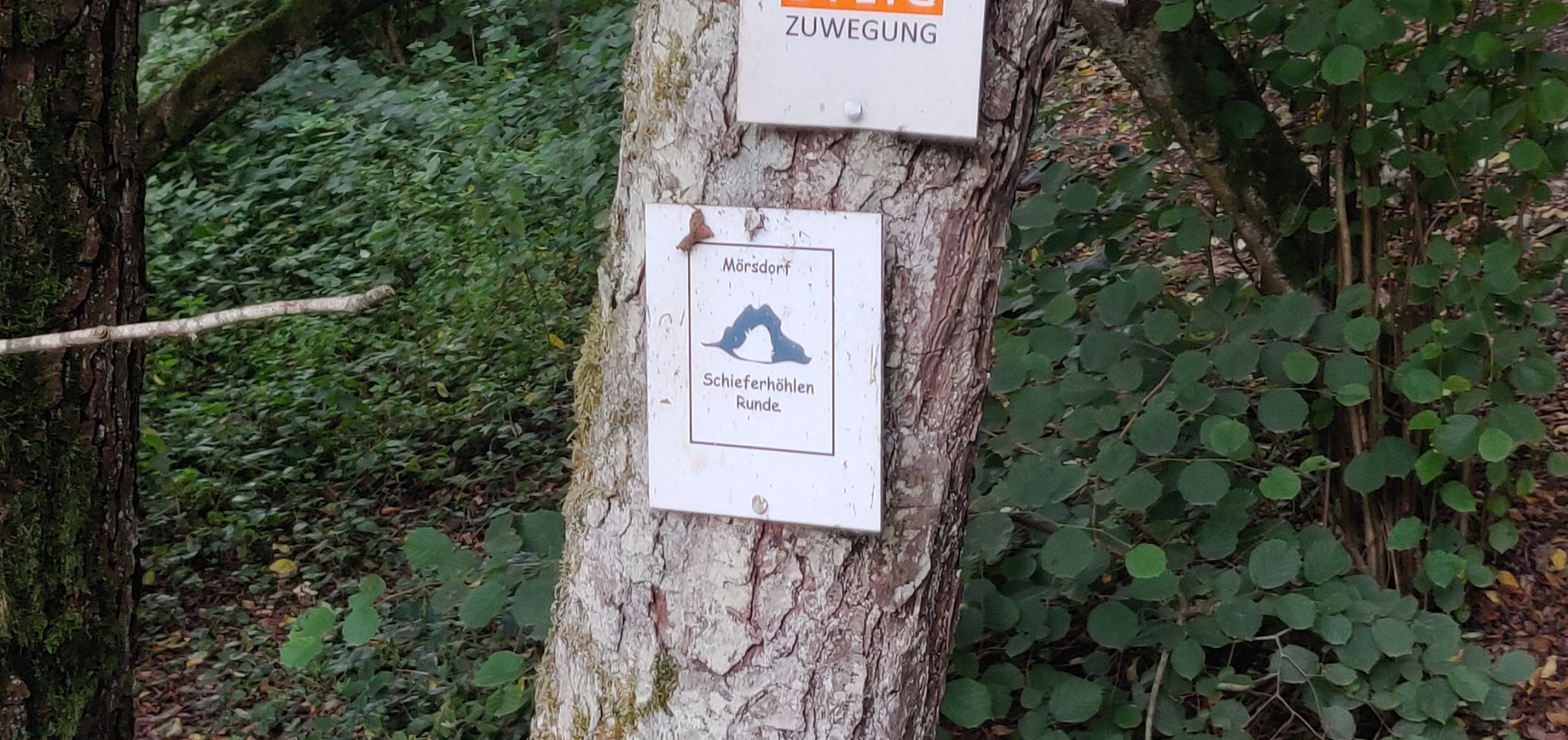 Foto bij Mörsdorf