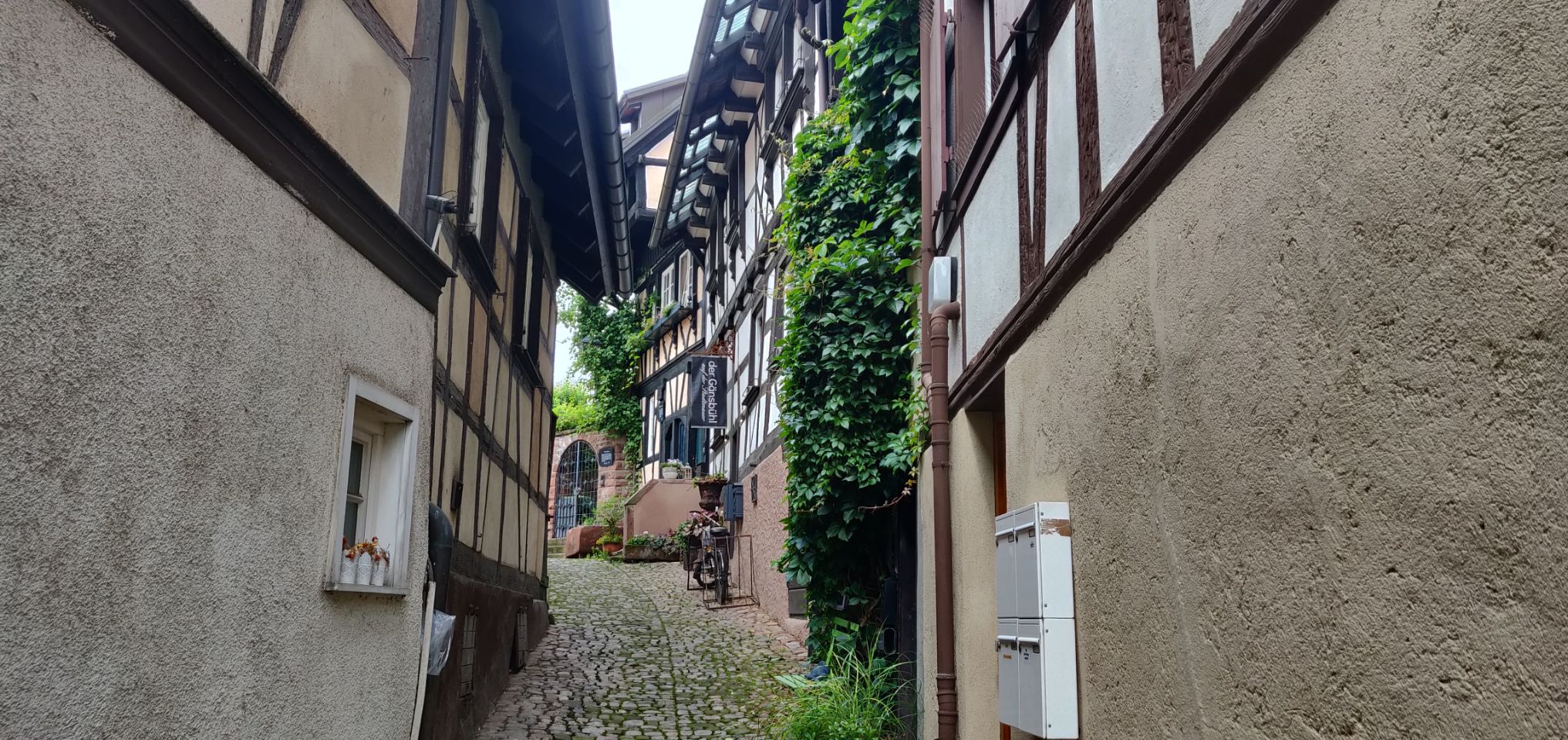 Foto bij Gengenbach
