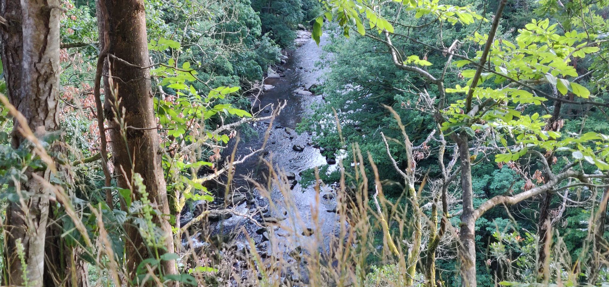 Foto bij Forbach