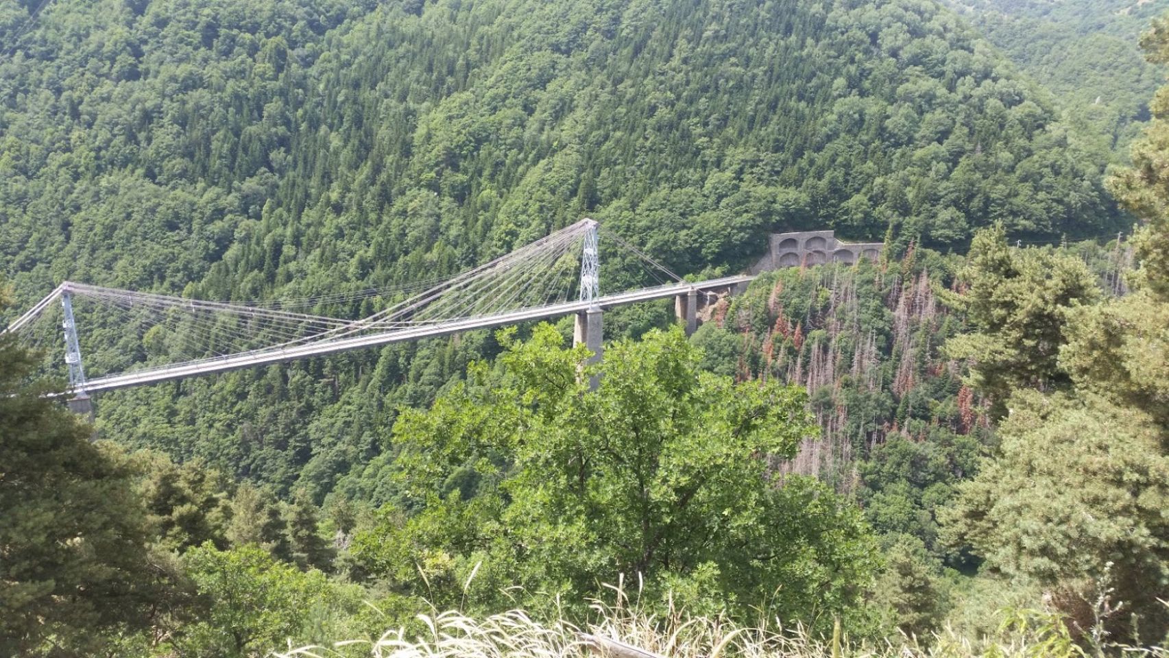 Foto bij Vinça