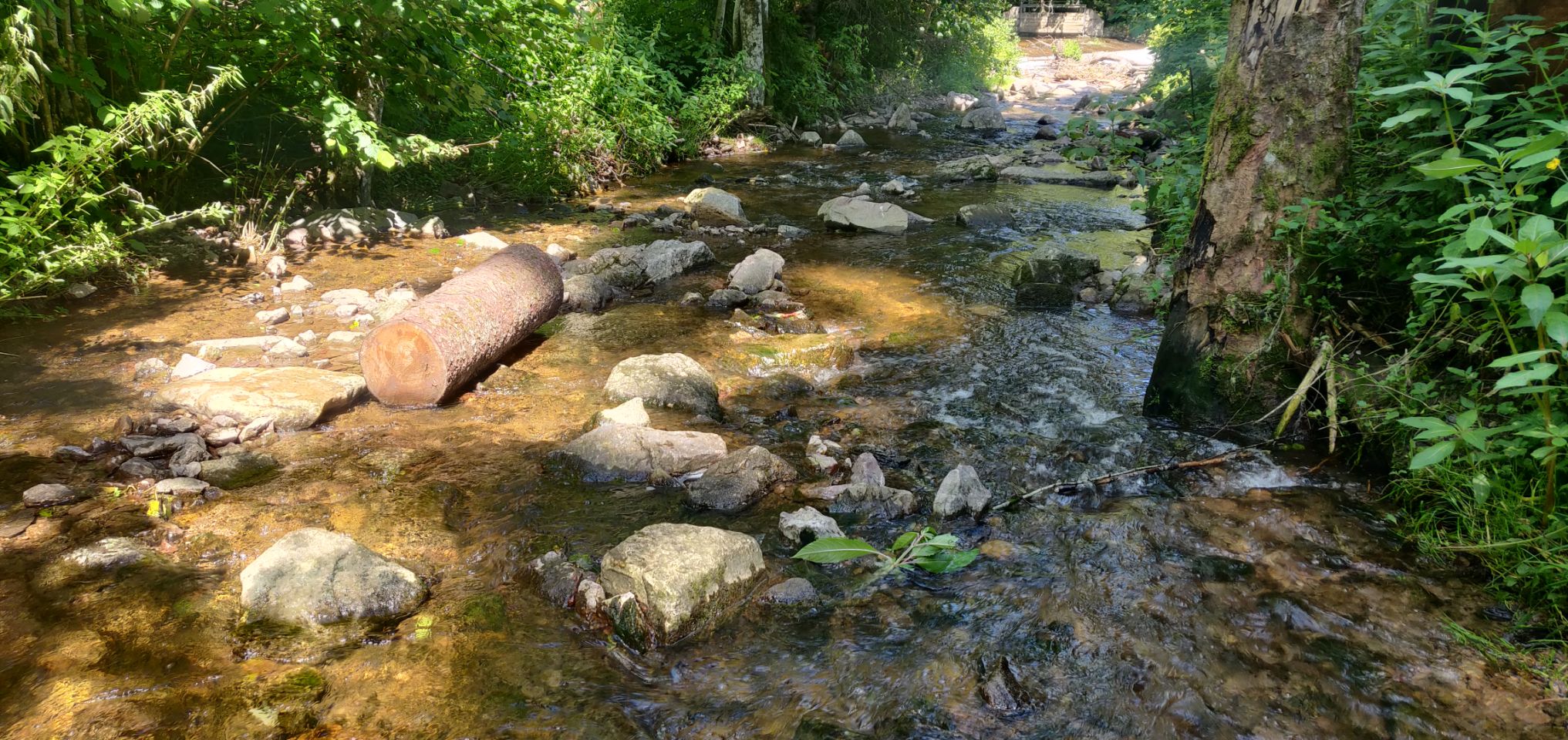 Foto bij Bonndorf im Schwarzwald