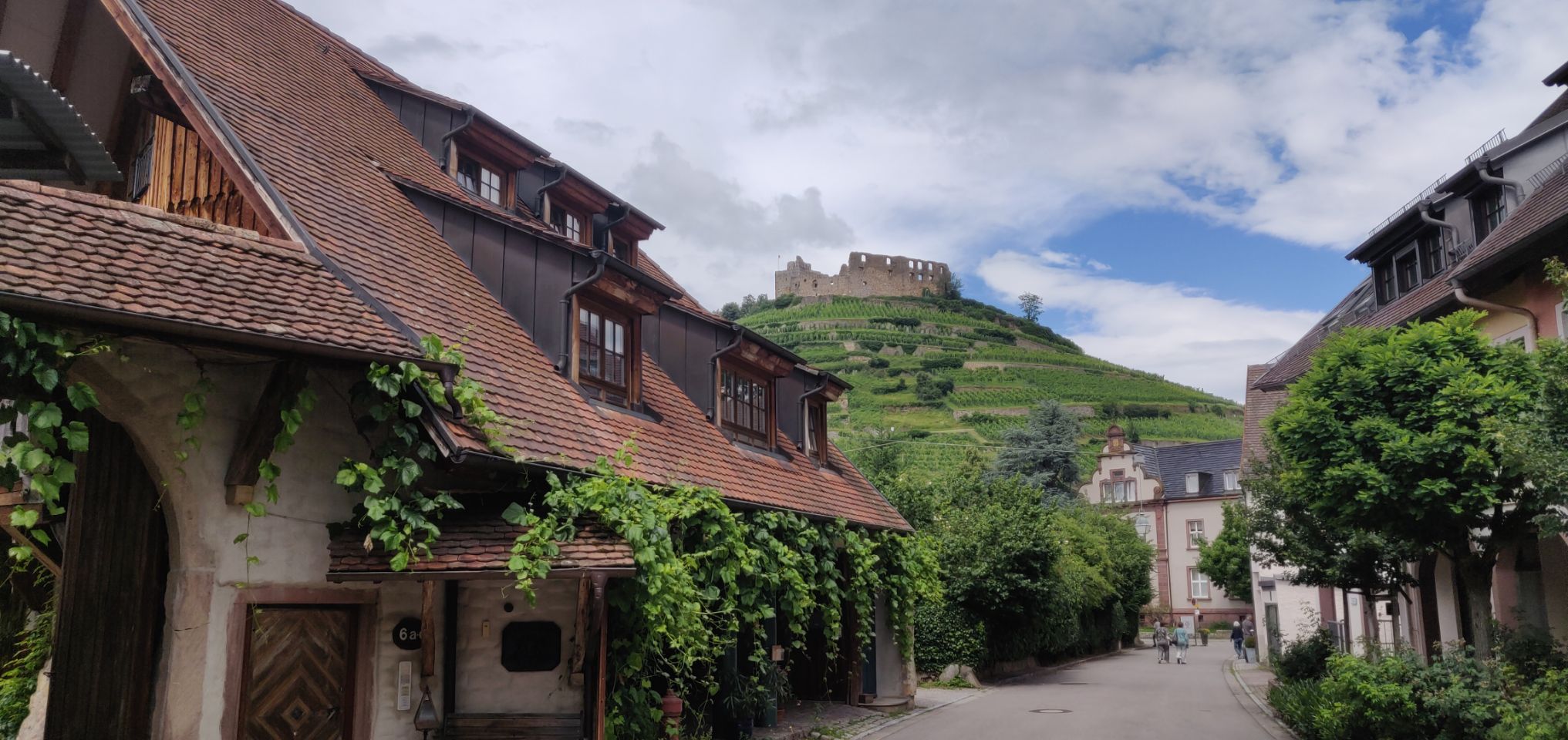 Foto bij Staufen im Breisgau