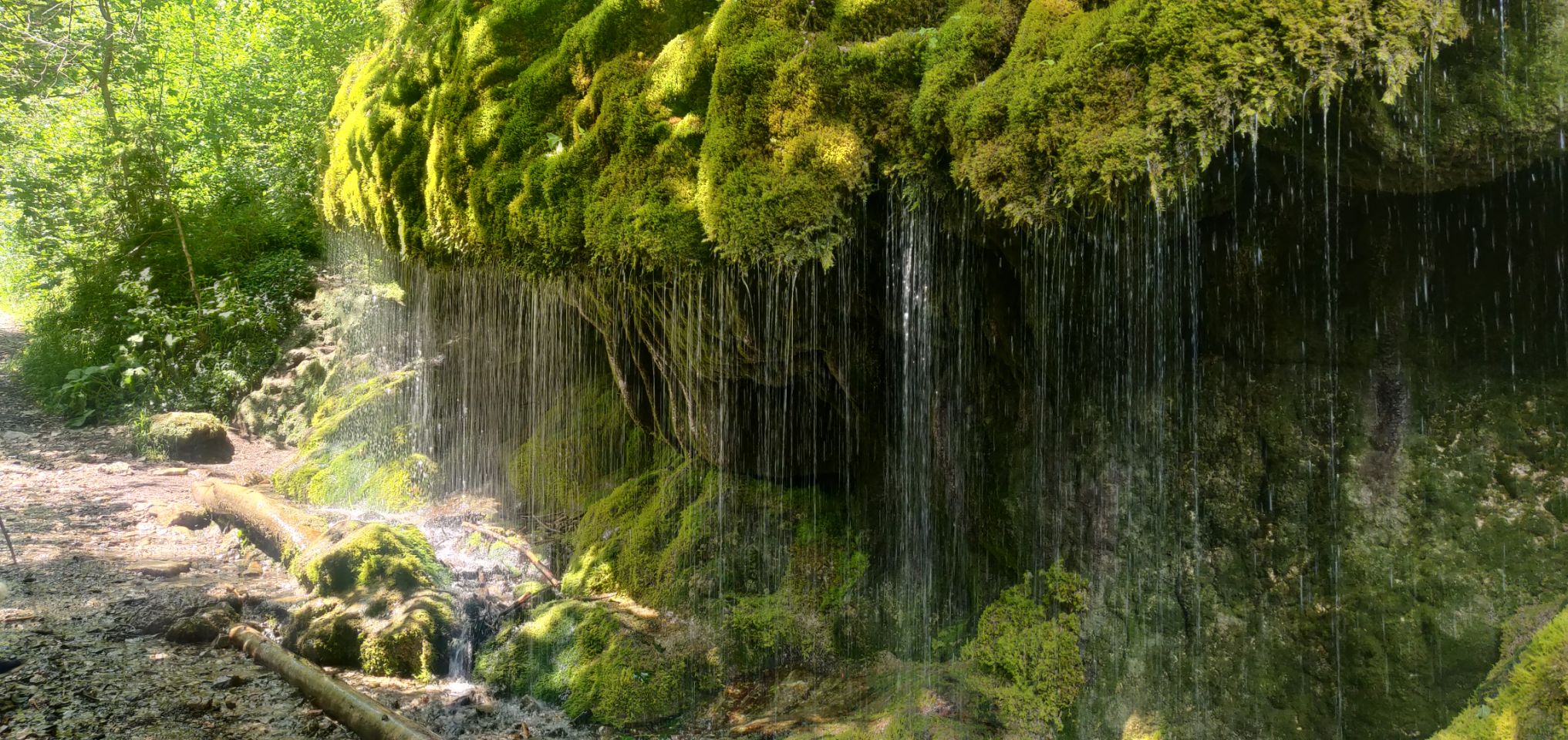 Foto bij Bonndorf im Schwarzwald