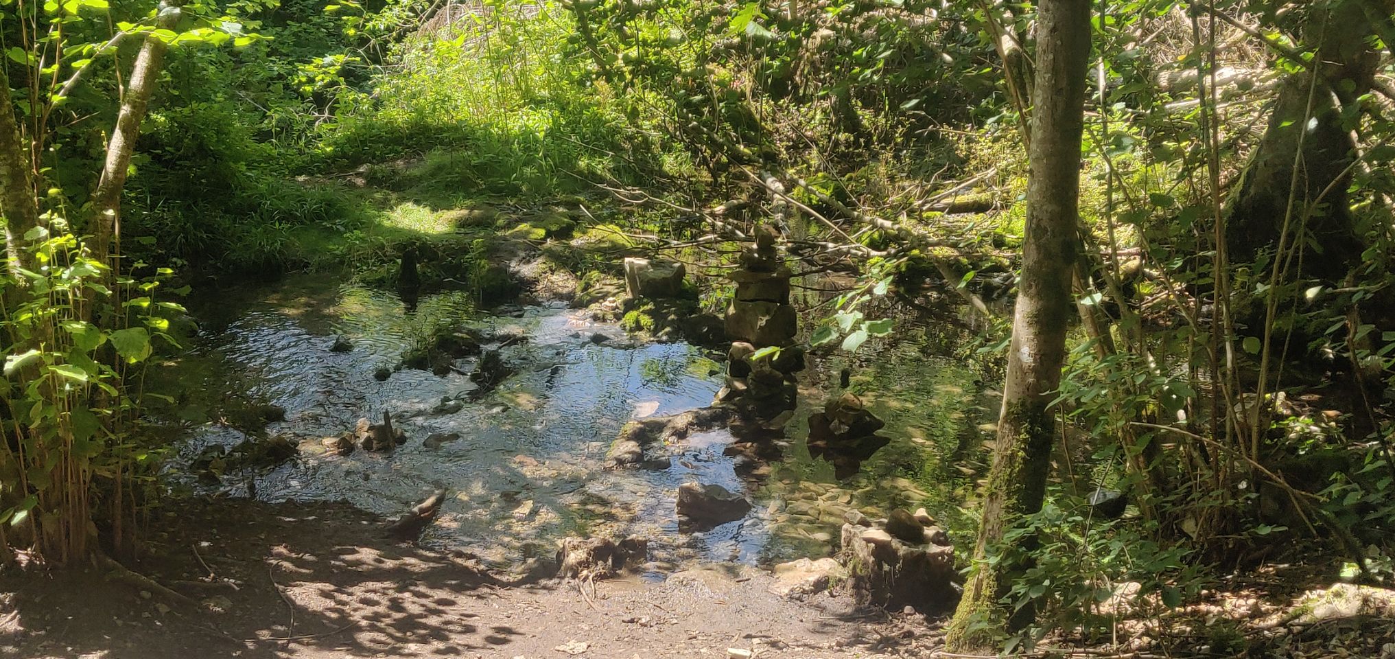 Foto bij Bonndorf im Schwarzwald