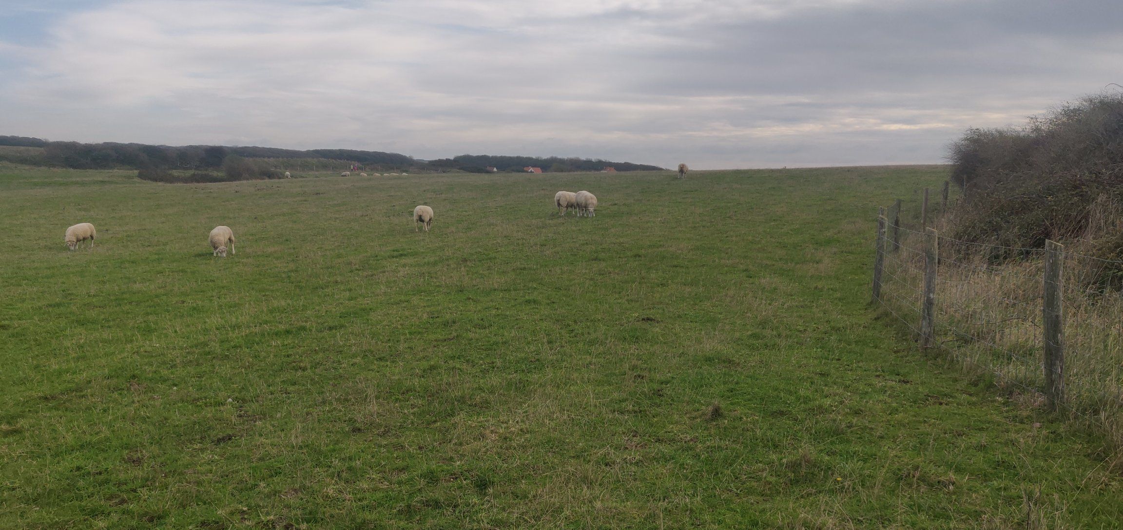 Foto bij Cap Gris-Nez