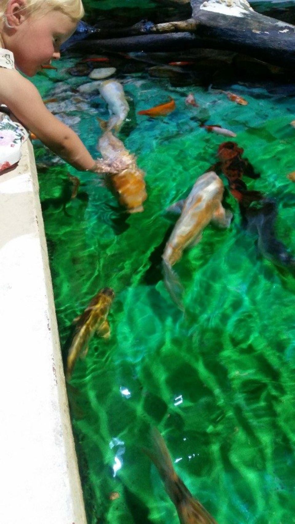 Foto bij Grand Aquarium De Touraine