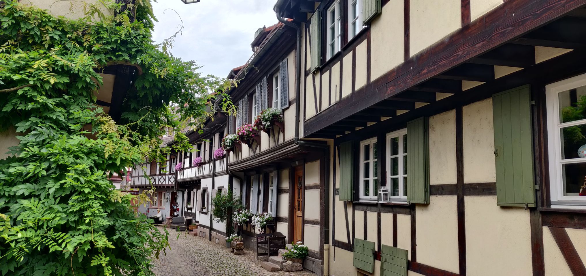 Foto bij Gengenbach