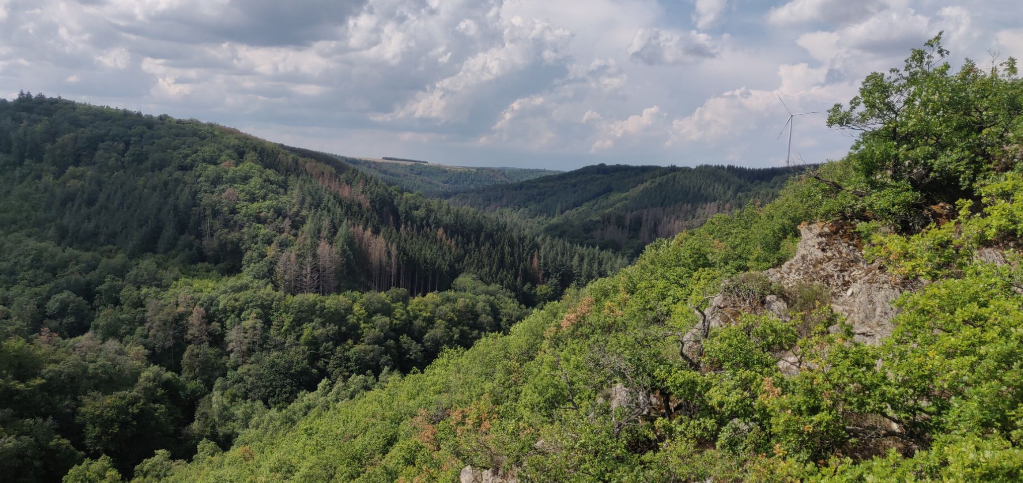 Foto bij Mörsdorf