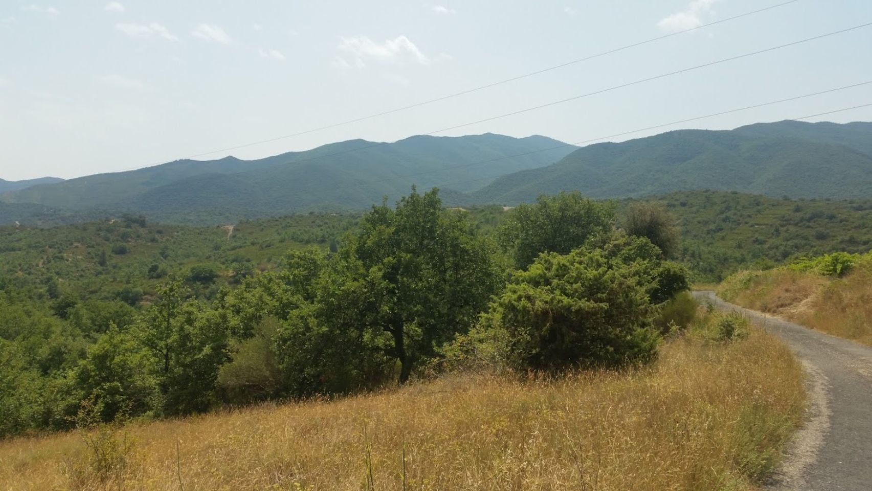 Foto bij Vinça