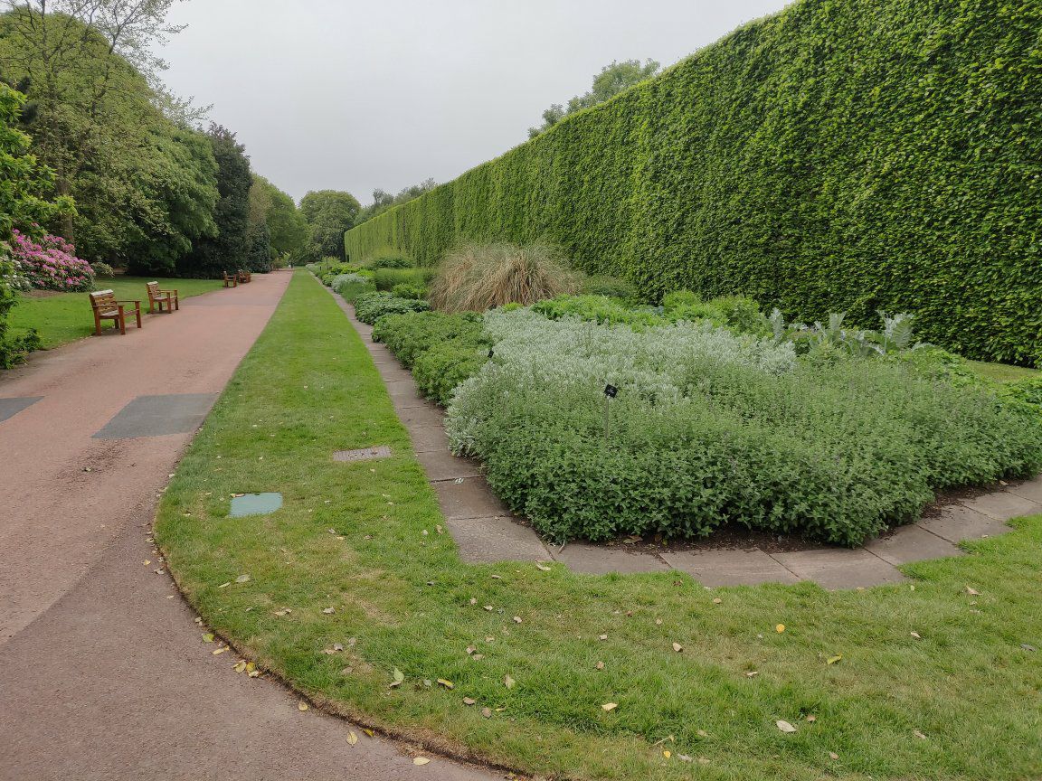 Foto bij Royal Botanic Garden Edinburgh