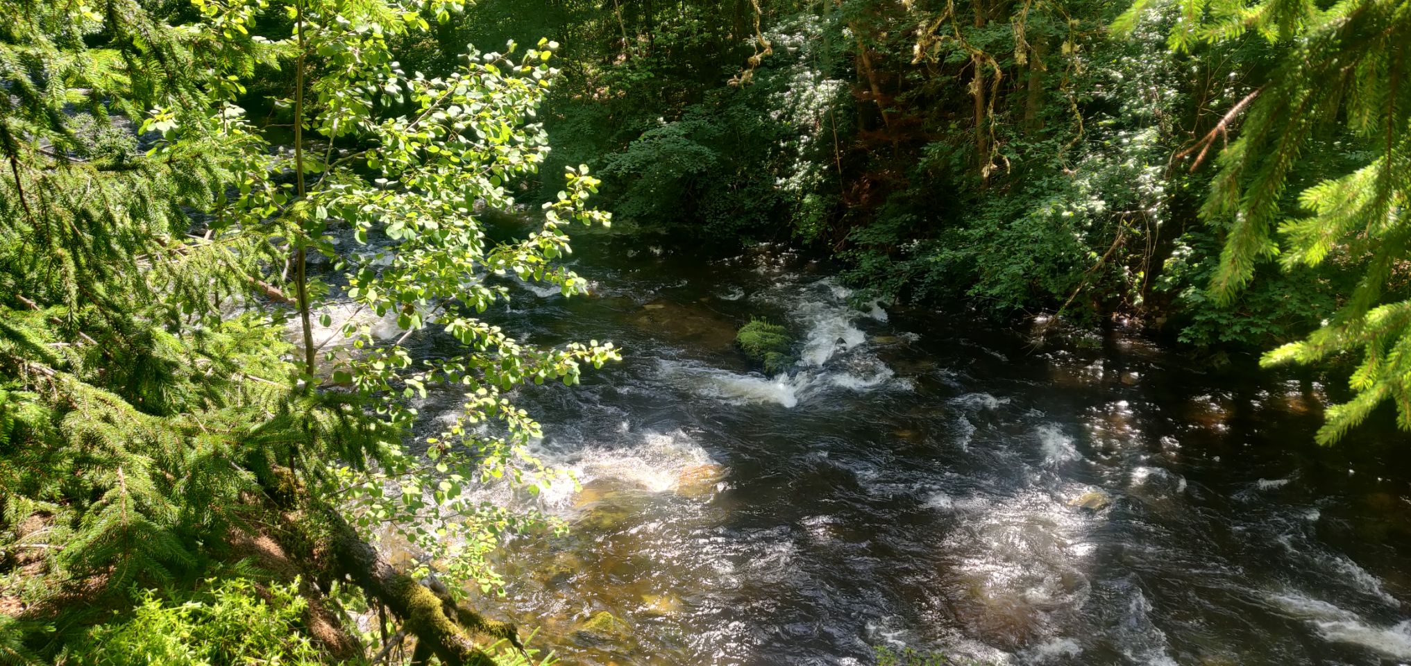 Foto bij Bonndorf im Schwarzwald