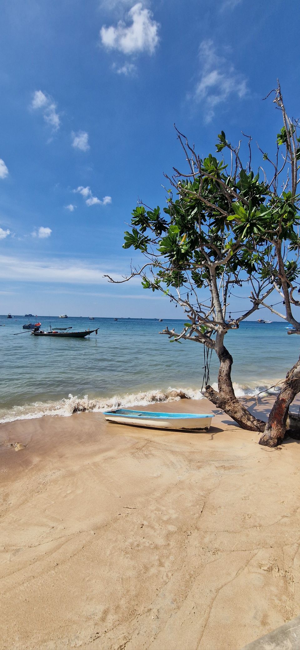 Gulf Islands Guide 2025: Koh Tao, Koh Pha Ngan, Koh Samui & Ang Thong