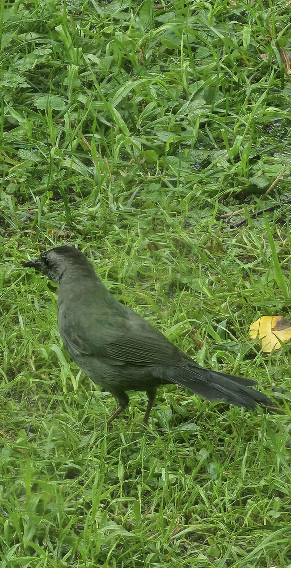 Saint-François-Xavier-de-Brompton