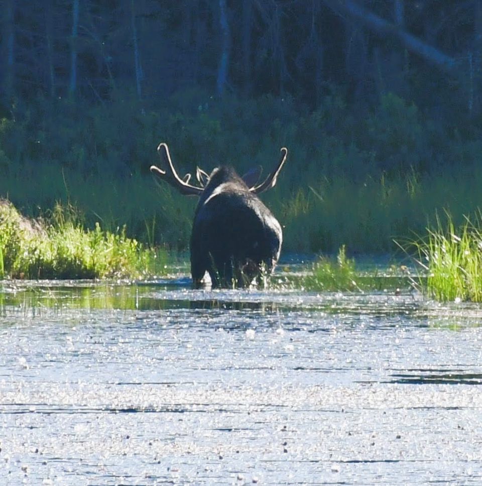 Unorganized South Nipissing