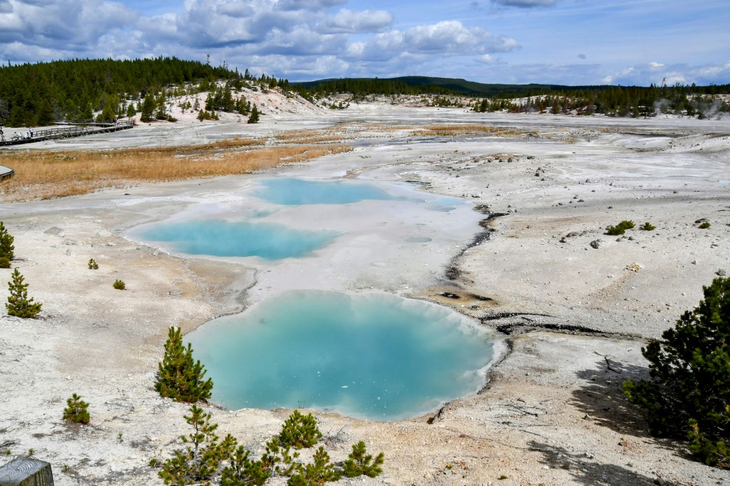 Yellowstone National Park