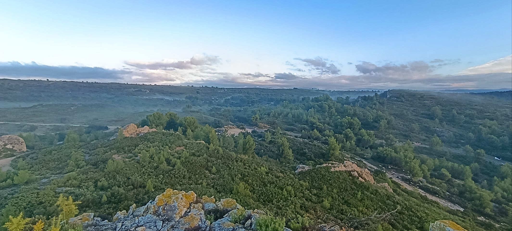 Saint-Maximin-la-Sainte-Baume