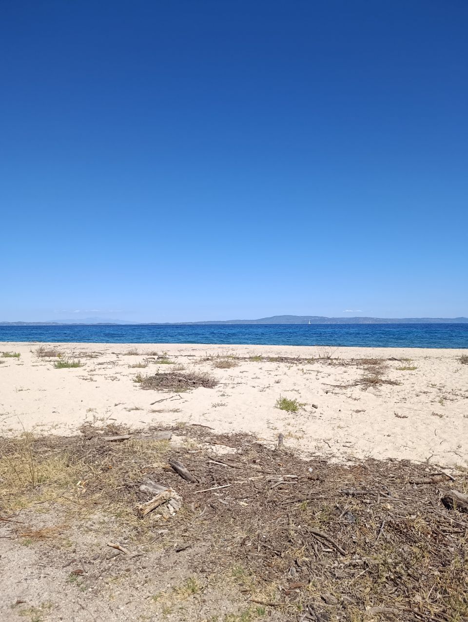 Sithonia Municipal Unit