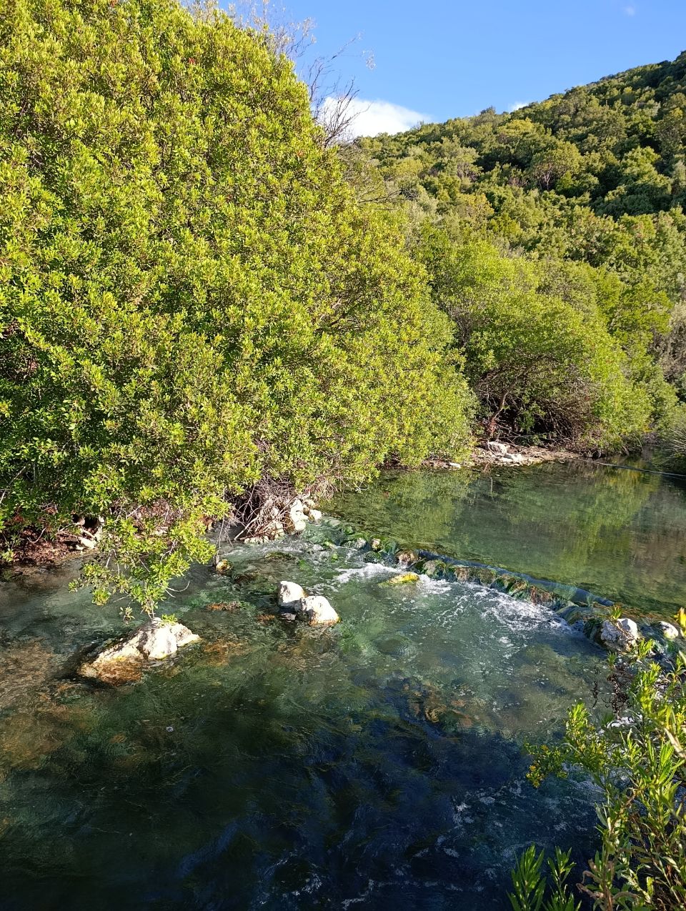 Municipal Unit of Lamia