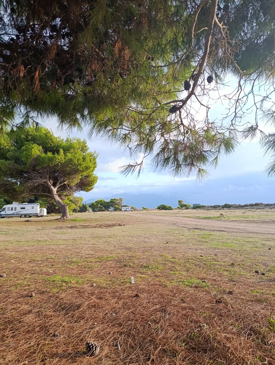 Municipality of Trifylia