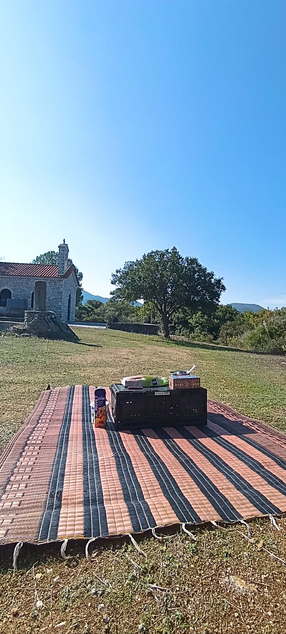 Municipality of Messini