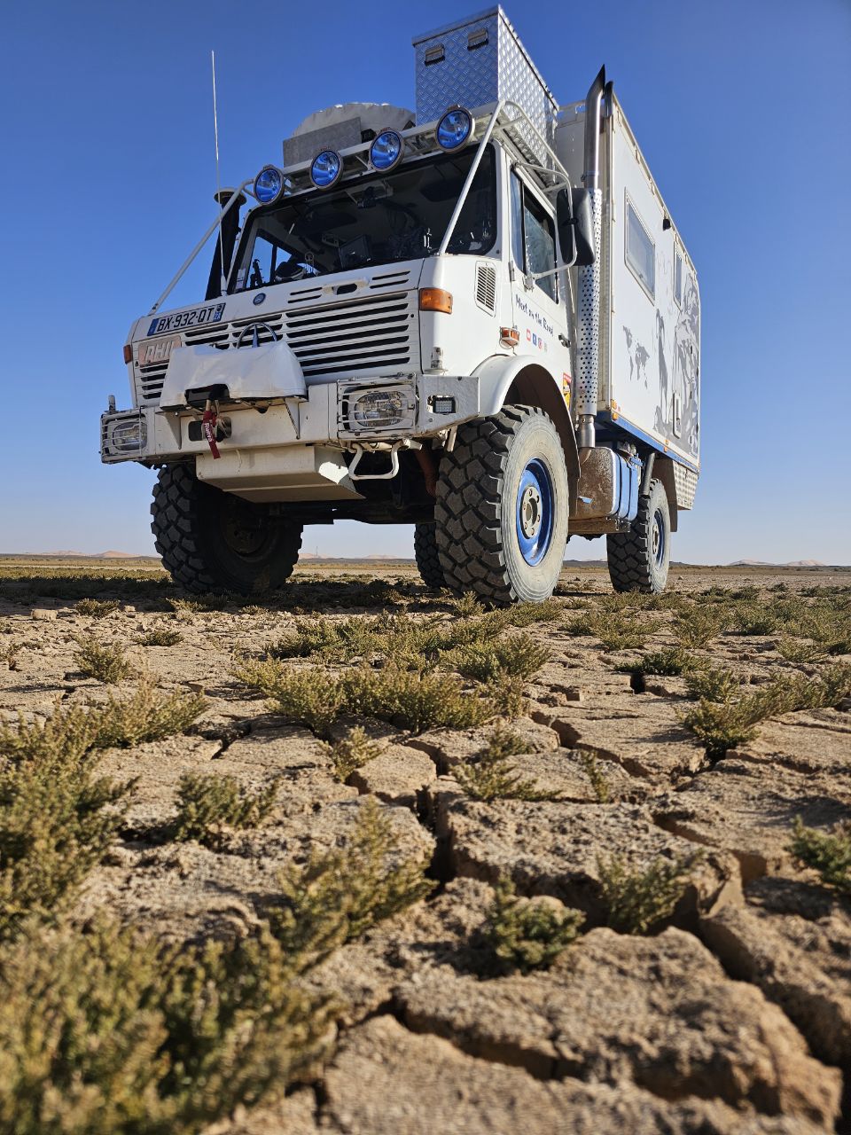 Et-taous ⵟⴰⵡⵙ الطاوس