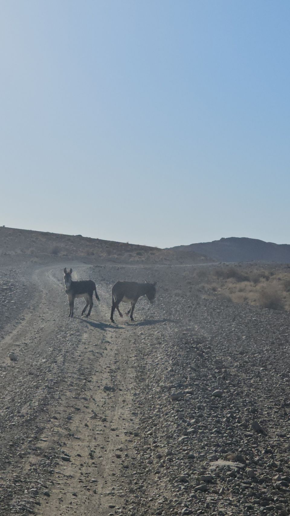 Oued Naam وادي النعام