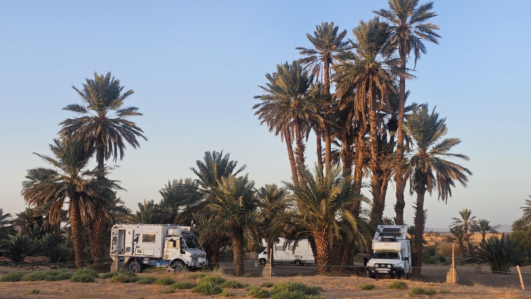 Et-taous ⵟⴰⵡⵙ الطاوس