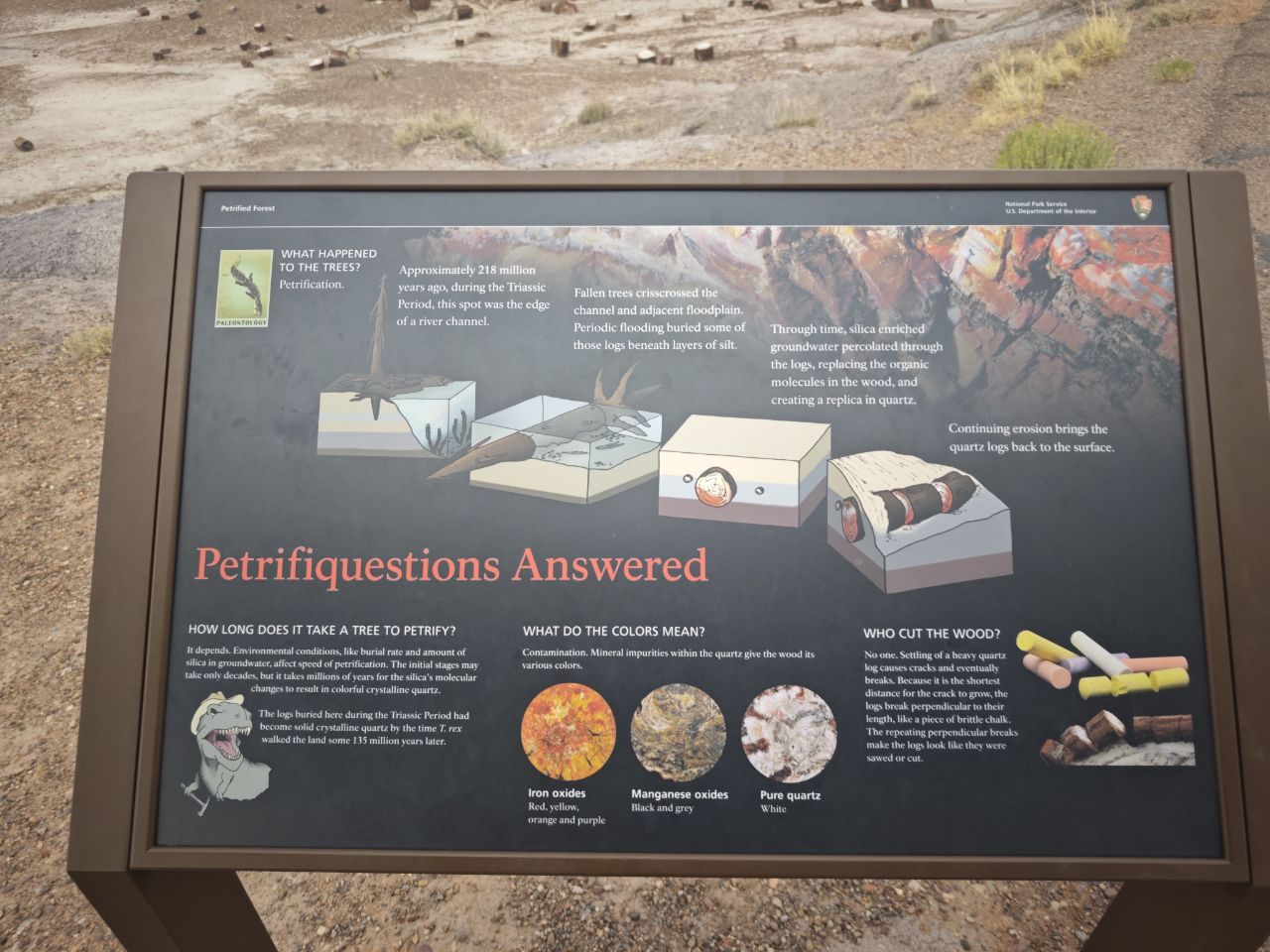 Petrified Forest Natl Pk