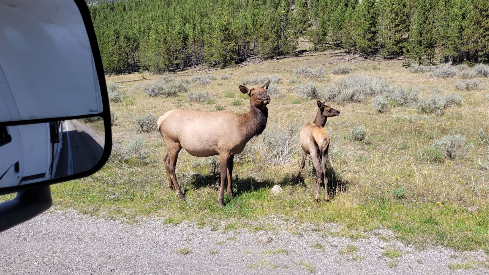 West Yellowstone