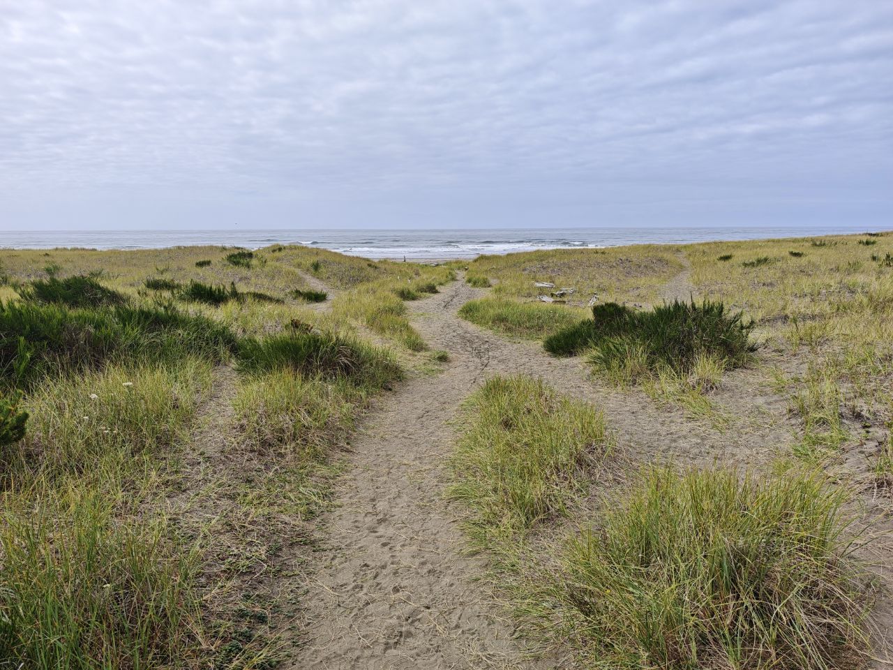 Cohassett Beach