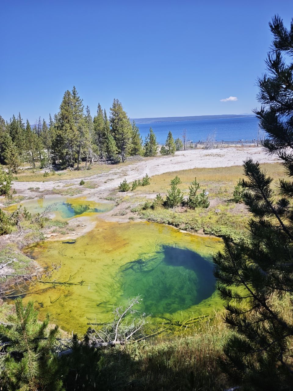 Yellowstone National Park