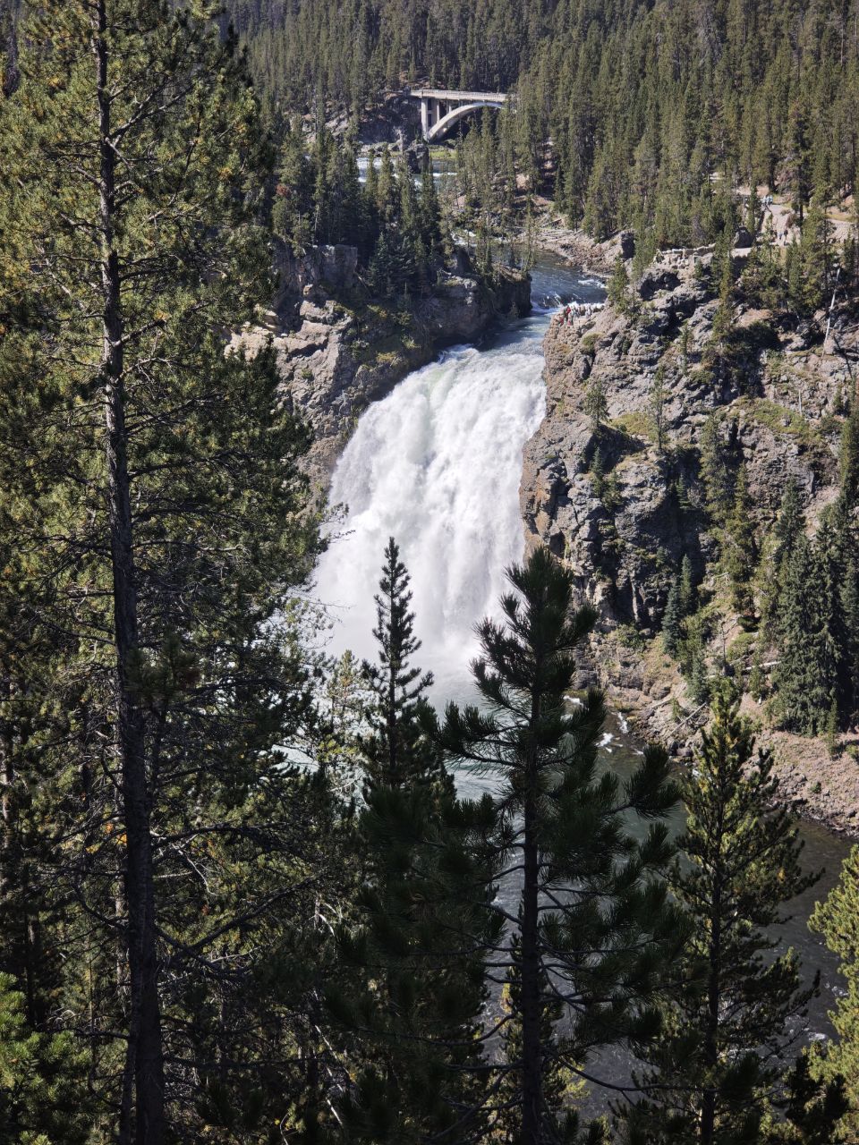 Yellowstone National Park