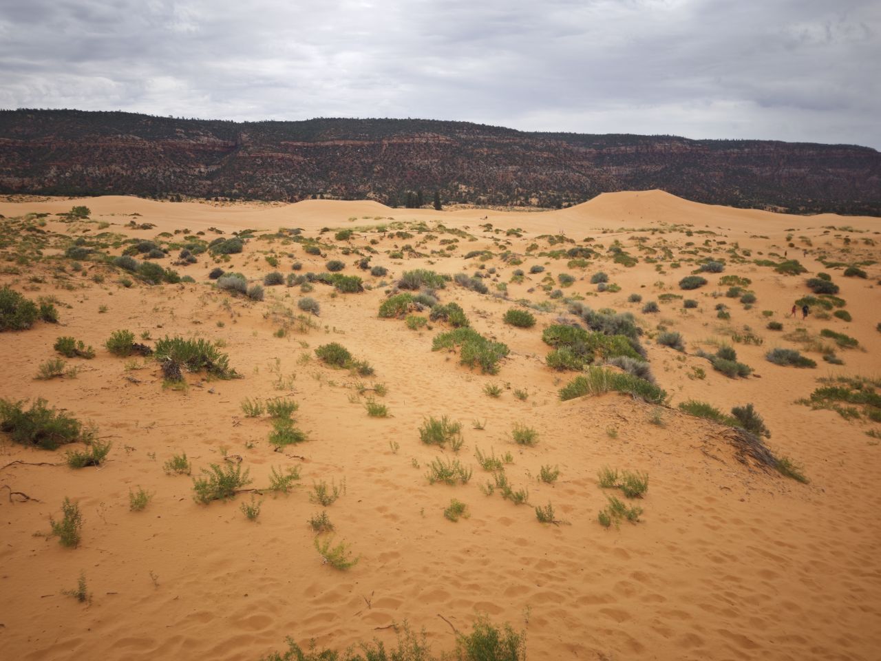 Kanab