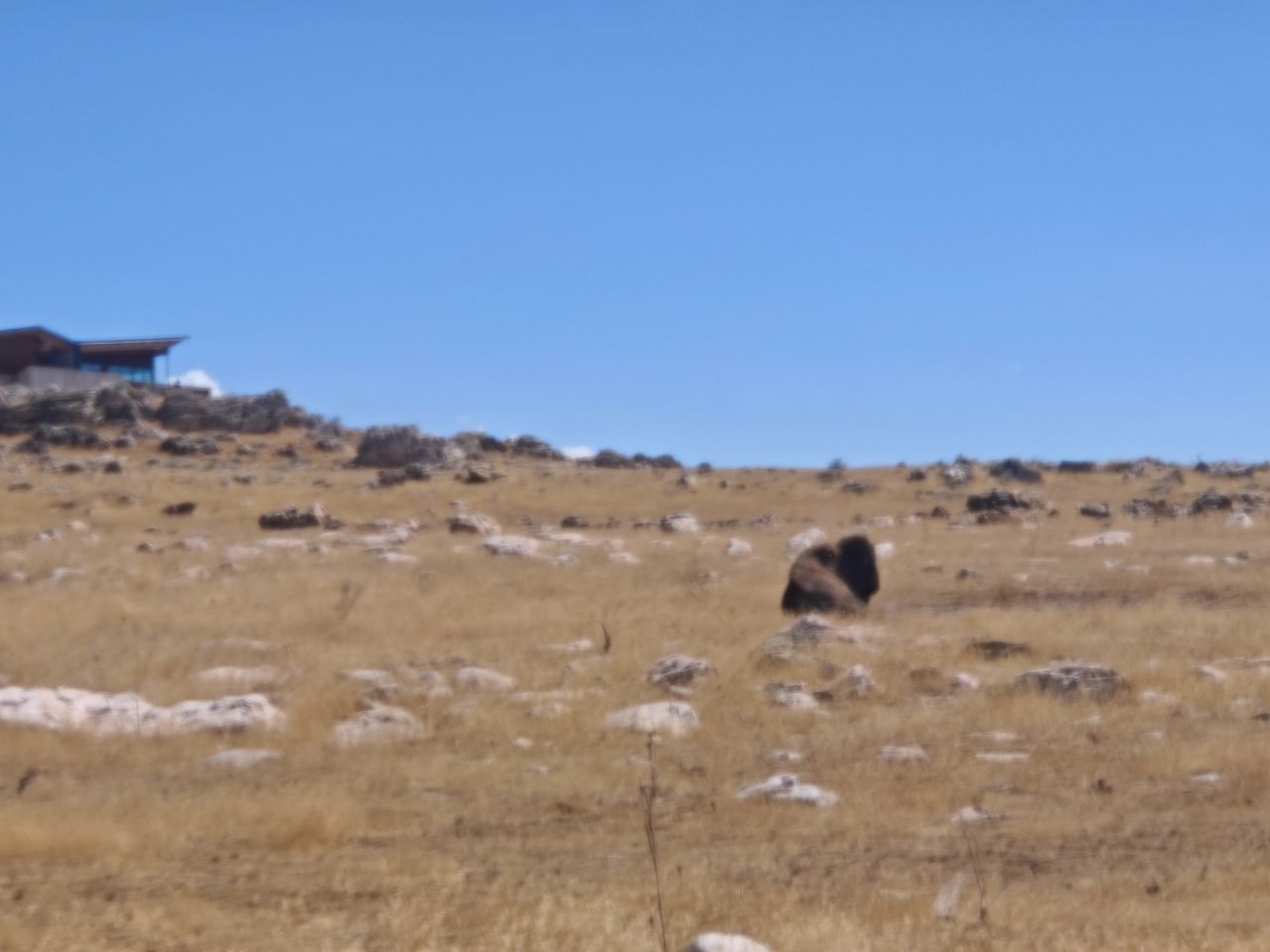 Davis County