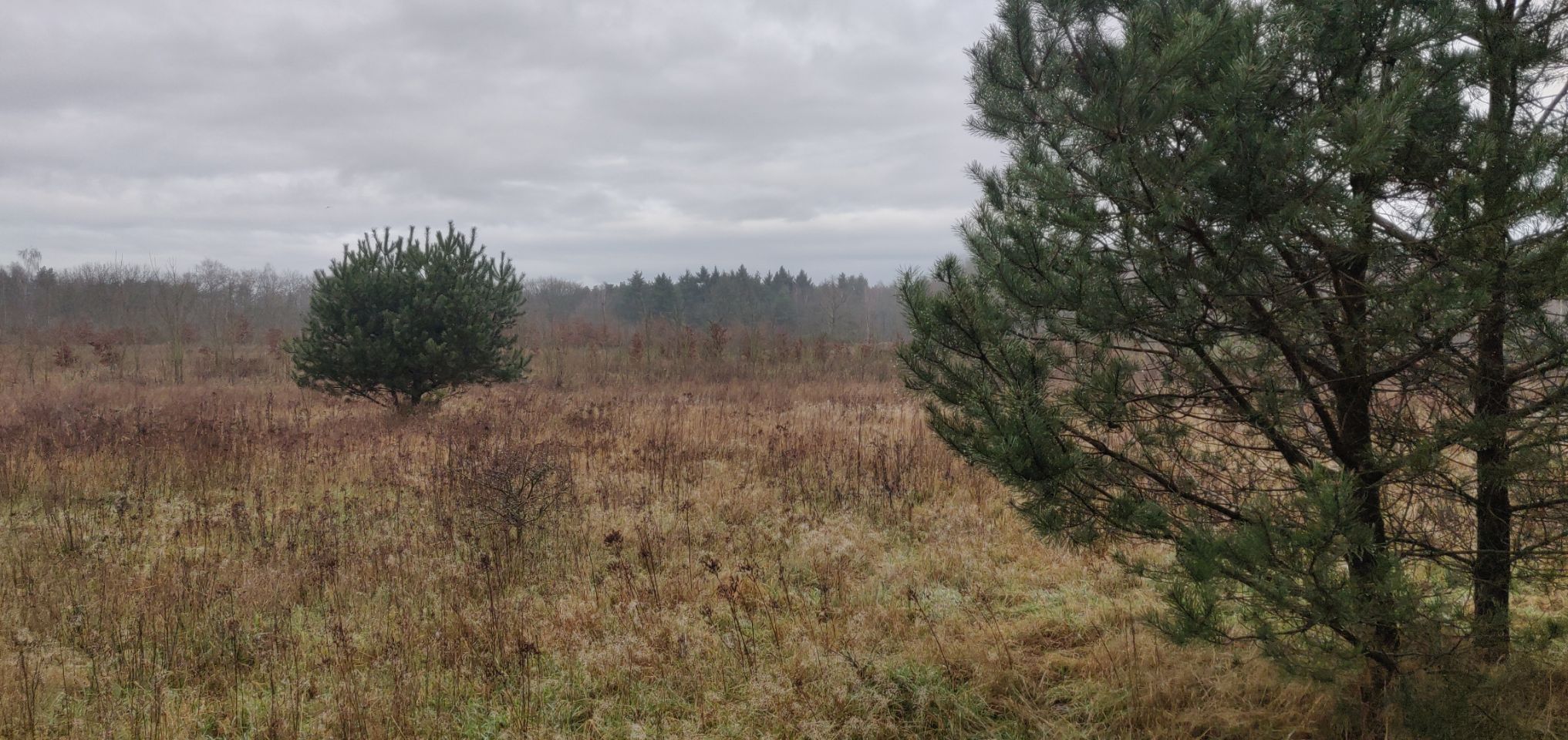 Foto bij Meeuwen-Gruitrode