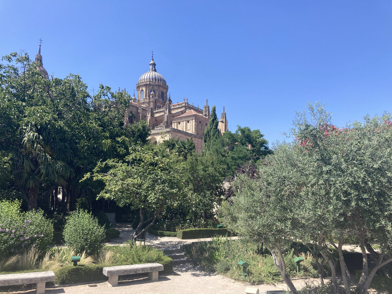 Foto bij Salamanca