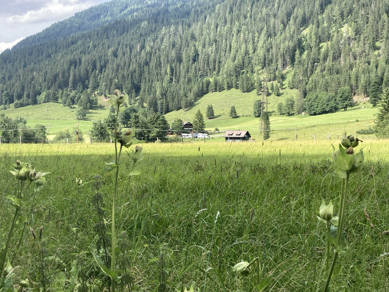 Foto bij Flachau