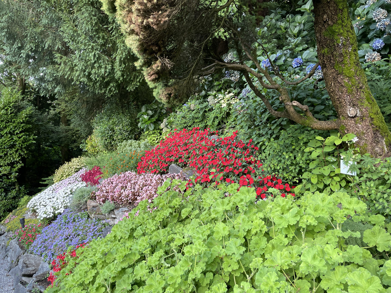 Foto bij Tremezzina