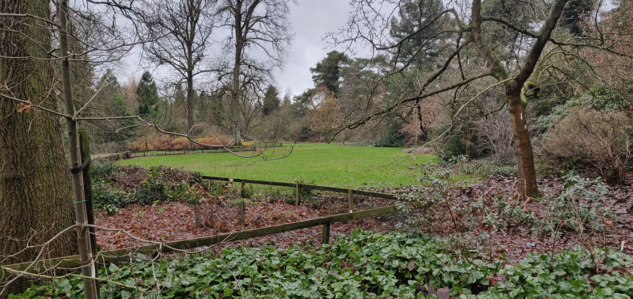 Foto bij Bokrijk