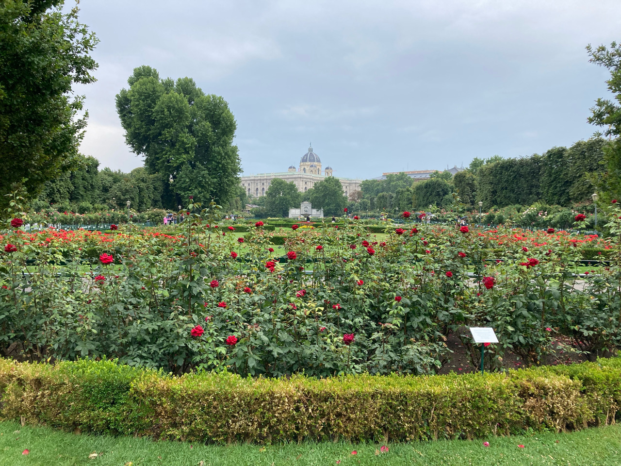 Foto bij Vienna