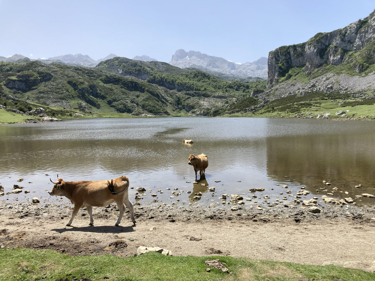 Foto bij Picos de Europe - Lagos de Covadonga