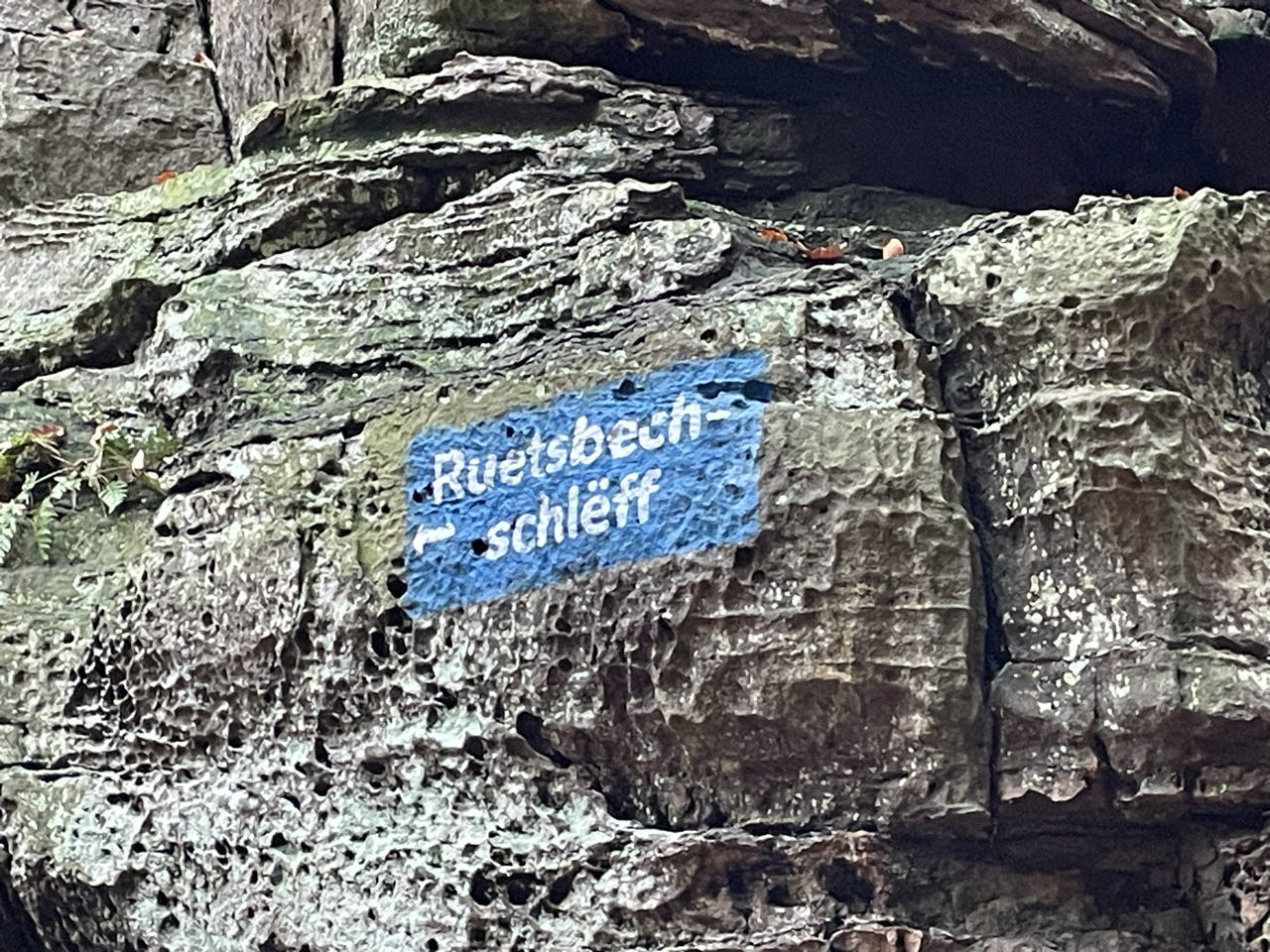 Foto bij Mullerthal Trail: Route B2