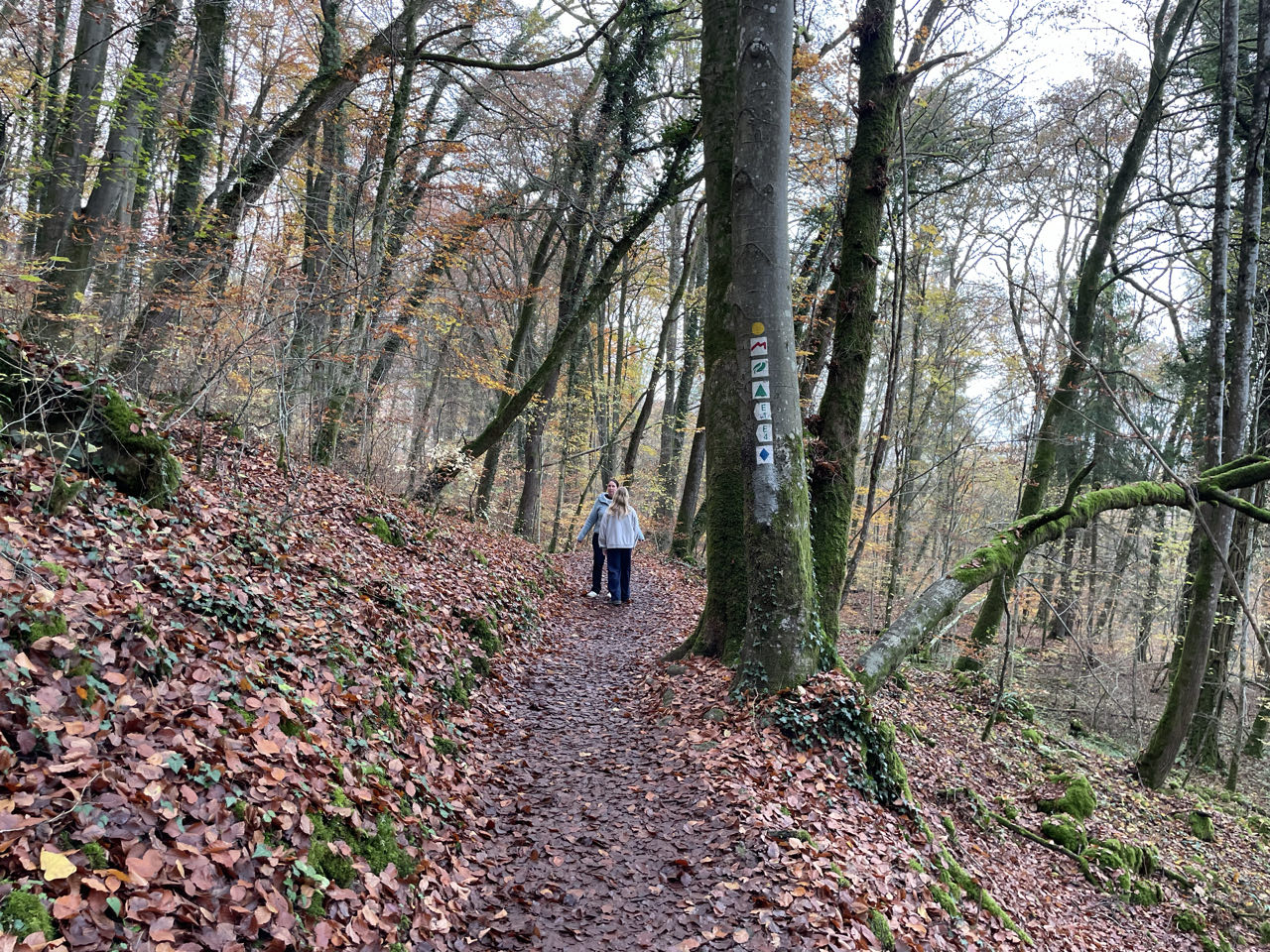 Foto bij Mullerthal Trail: Route E1