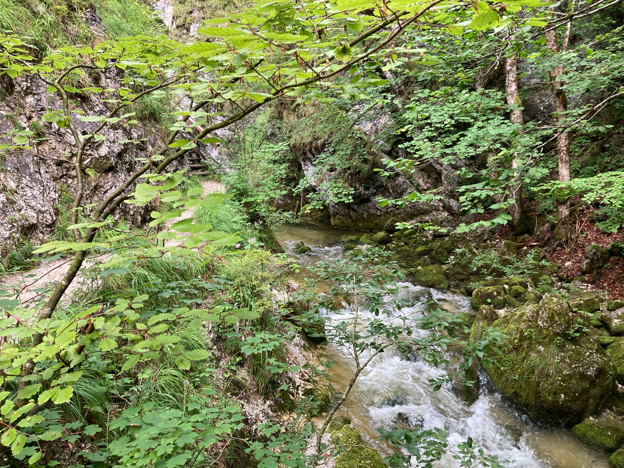 Foto bij Wasserlochklamm
