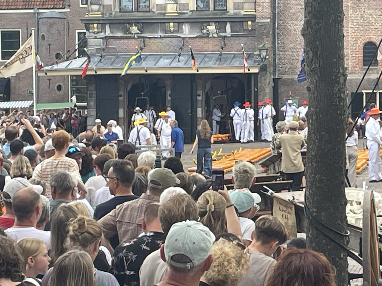 Foto bij Alkmaar