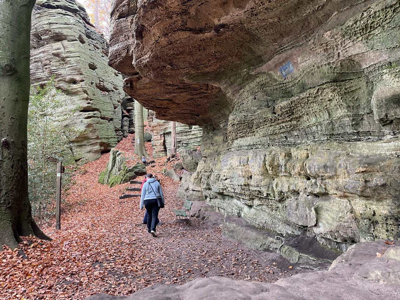 Foto bij Mullerthal Trail: Route B2