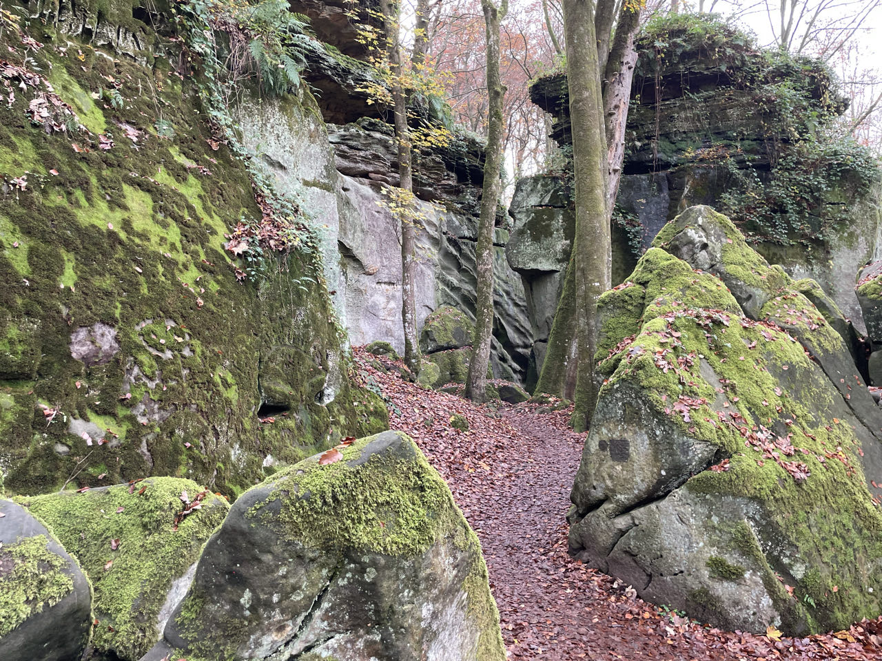Foto bij Mullerthal Trail: Route E1