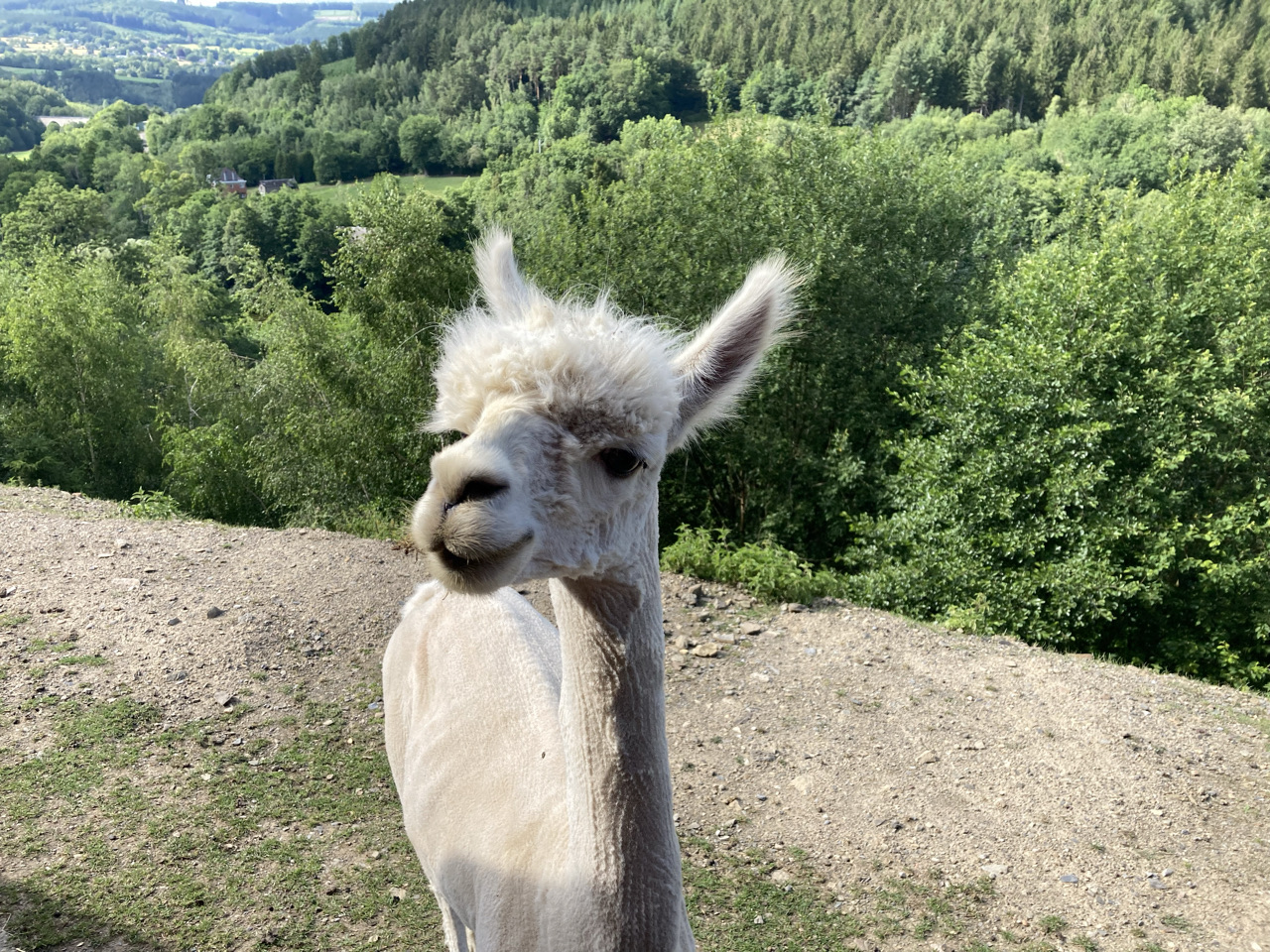 Foto bij Stavelot