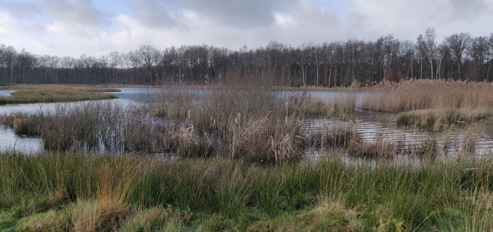 Foto bij Bokrijk