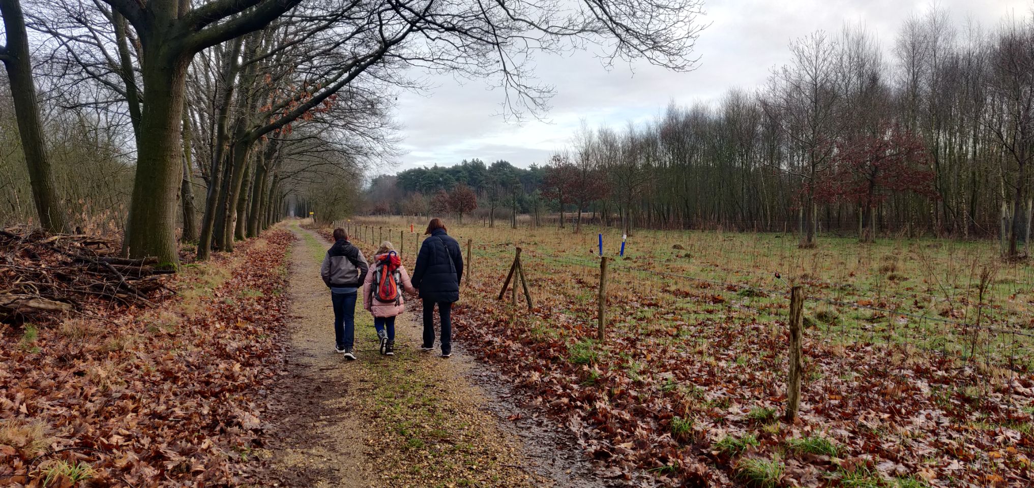 Foto bij Meeuwen-Gruitrode